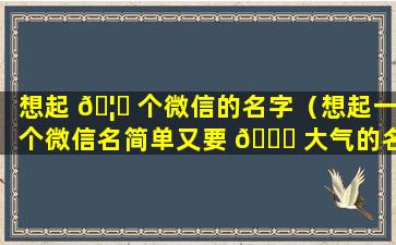 想起 🦊 个微信的名字（想起一个微信名简单又要 🍁 大气的名字）